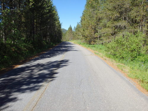 GDMBR: We had a beautiful ride through the Targhee NF.